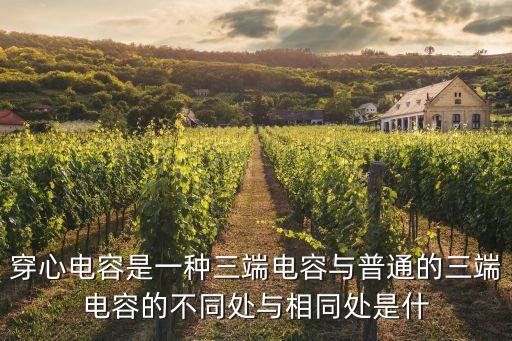 穿心電容，什么是穿心電容