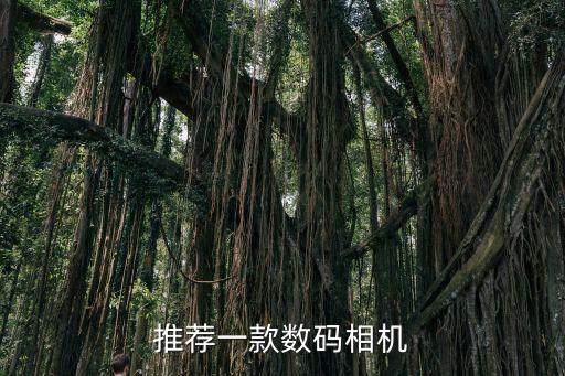 數(shù)碼照相機(jī)，推薦一款數(shù)碼相機(jī)