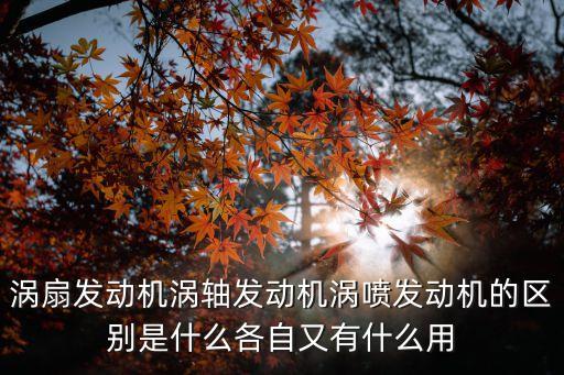渦扇，渦扇發(fā)動機渦軸發(fā)動機渦噴發(fā)動機的區(qū)別是什么各自又有什么用