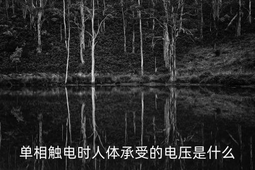 單相觸電時人體承受的電壓是什么