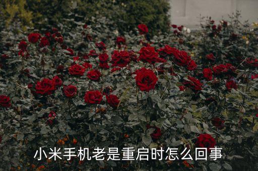 小米手機老是重啟時怎么回事