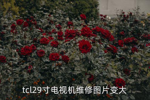 tcl29寸電視機維修圖片變大