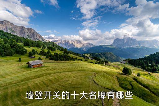 墻壁開(kāi)關(guān)的十大名牌有哪些
