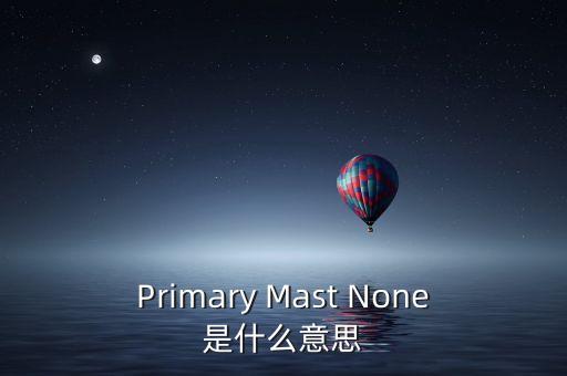 Primary Mast None是什么意思