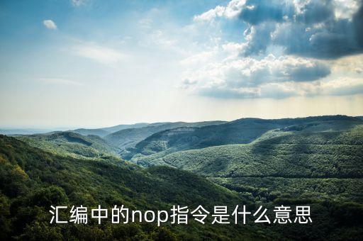 匯編中的nop指令是什么意思