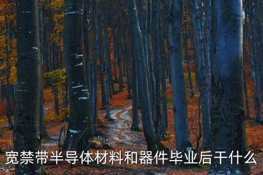 寬禁帶半導(dǎo)體材料和器件畢業(yè)后干什么