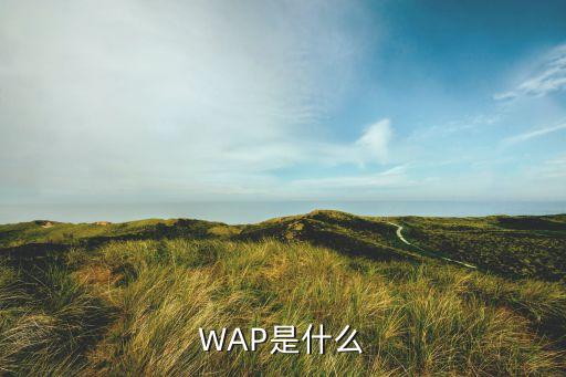 WAP是什么