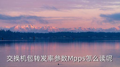交換機(jī)包轉(zhuǎn)發(fā)率參數(shù)Mpps怎么讀呢