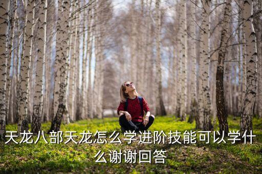 天龍八部天龍怎么學進階技能可以學什么謝謝回答
