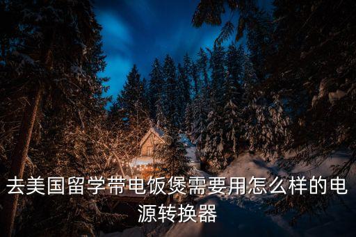 去美國(guó)留學(xué)帶電飯煲需要用怎么樣的電源轉(zhuǎn)換器