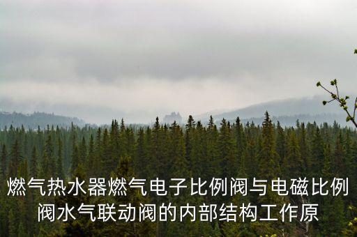 燃氣熱水器燃氣電子比例閥與電磁比例閥水氣聯(lián)動閥的內(nèi)部結(jié)構(gòu)工作原