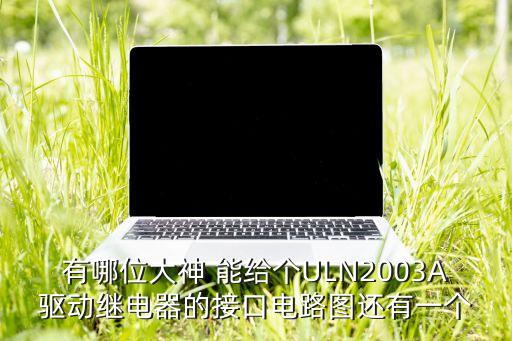 有哪位大神 能給個ULN2003A驅(qū)動繼電器的接口電路圖還有一個
