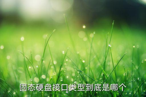 固態(tài)硬盤(pán)接口類(lèi)型，固態(tài)硬盤(pán)接口大觀哪個(gè)是你的菜