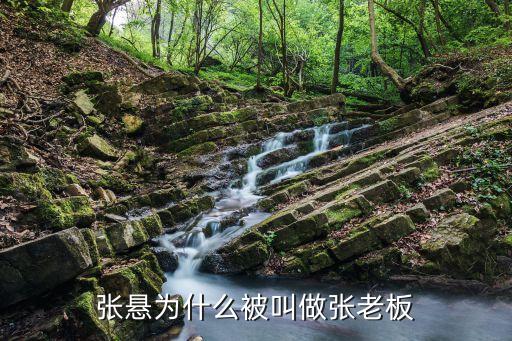 張懸為什么被叫做張老板