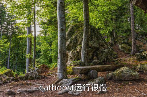 catboost運(yùn)行很慢