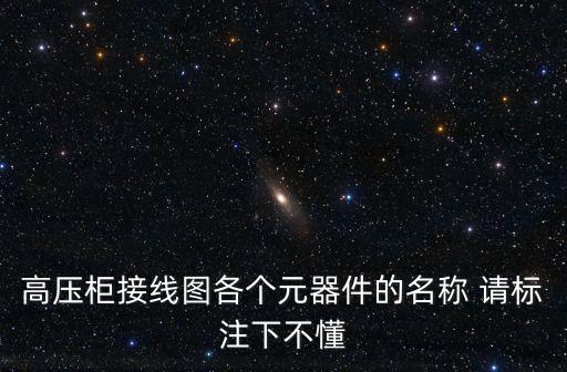 高壓柜接線圖各個(gè)元器件的名稱 請(qǐng)標(biāo)注下不懂