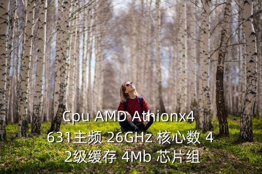 Cpu AMD Athionx4 631主頻 26GHz 核心數(shù) 4 2級緩存 4Mb 芯片組
