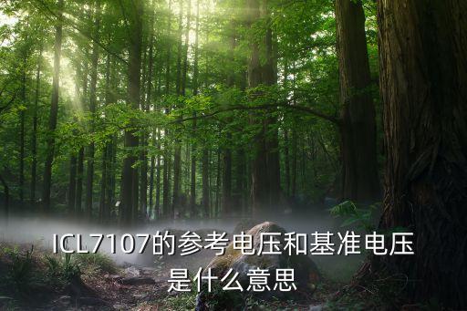 基準(zhǔn)電壓，電壓基準(zhǔn)和基準(zhǔn)電壓是1樣