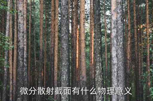 微分散射截面有什么物理意義