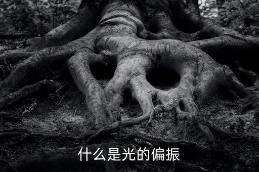 什么是光的偏振