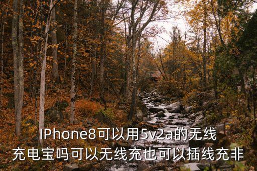 IPhone8可以用5v2a的無線充電寶嗎可以無線充也可以插線充非