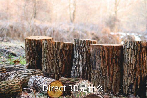 Direct 3D是什么