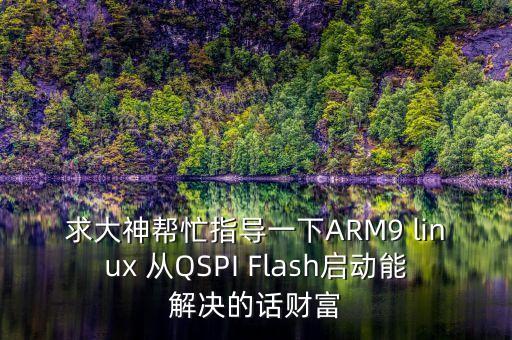 求大神幫忙指導(dǎo)一下ARM9 linux 從QSPI Flash啟動(dòng)能解決的話財(cái)富