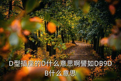 D型插座的D什么意思啊譬如DB9DB什么意思