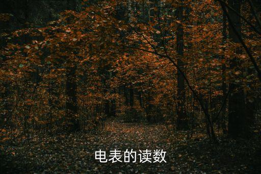 電表的讀數(shù)