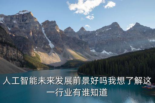 人工智能未來(lái)發(fā)展前景好嗎我想了解這一行業(yè)有誰(shuí)知道