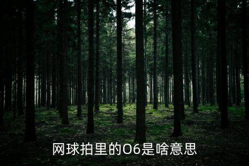 網(wǎng)球拍里的O6是啥意思