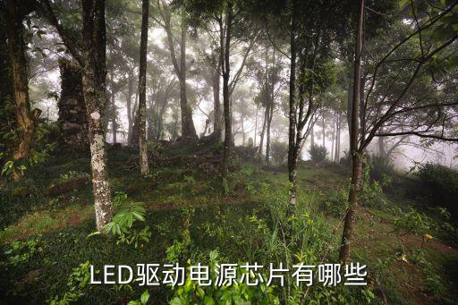 LED驅動電源芯片有哪些