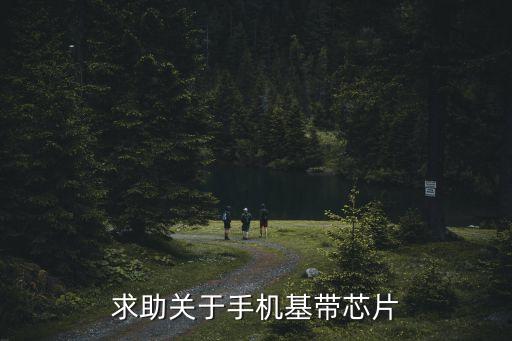 求助關(guān)于手機基帶芯片