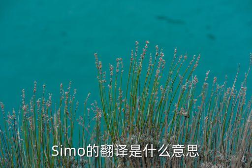 Simo的翻譯是什么意思