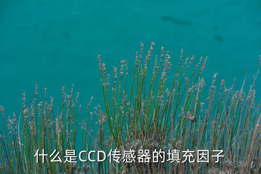 什么是CCD傳感器的填充因子