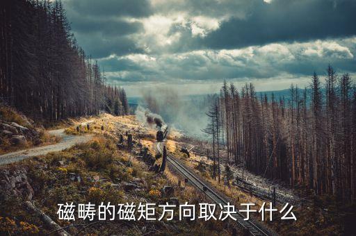 磁疇的磁矩方向取決于什么