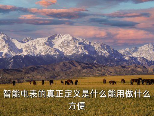 智能電表的真正定義是什么能用做什么方便
