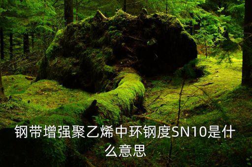 鋼帶增強聚乙烯中環(huán)鋼度SN10是什么意思