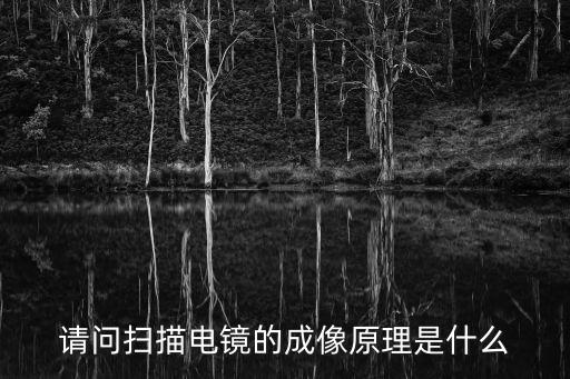 請問掃描電鏡的成像原理是什么