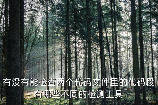 代碼比較工具，有沒有能檢查兩個代碼文件里的代碼段有哪些不同的檢測工具