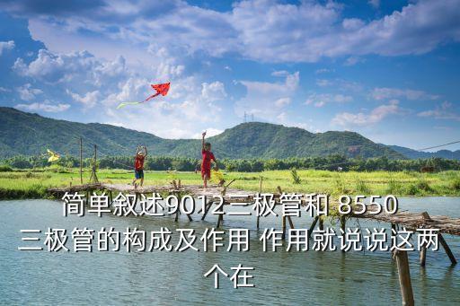 簡單敘述9012三極管和 8550三極管的構成及作用 作用就說說這兩個在