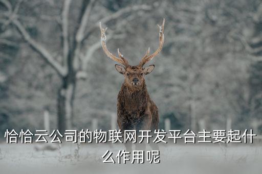 物聯(lián)網(wǎng)開發(fā)平臺，當今中國第一大物聯(lián)網(wǎng)平臺是什么