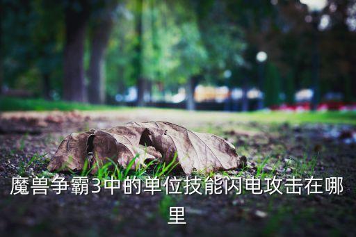 魔獸爭霸3中的單位技能閃電攻擊在哪里