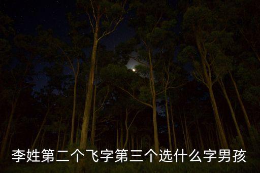 李姓第二個(gè)飛字第三個(gè)選什么字男孩