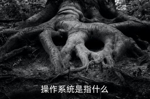 操作系統(tǒng)是什么，操作系統(tǒng)是什么
