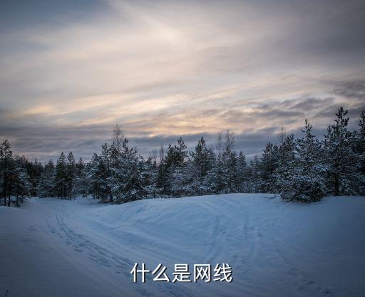 什么是網(wǎng)線