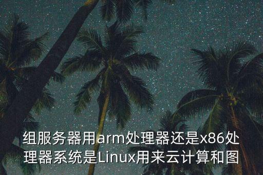 組服務(wù)器用arm處理器還是x86處理器系統(tǒng)是Linux用來云計(jì)算和圖