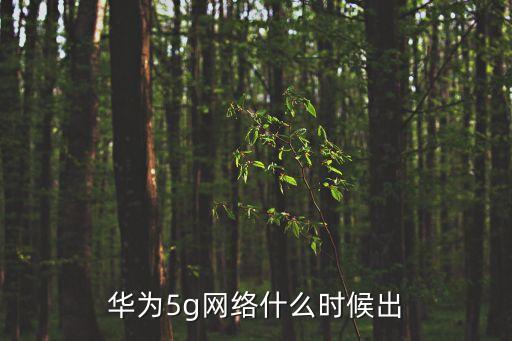 華為5g網(wǎng)絡(luò)什么時(shí)候出