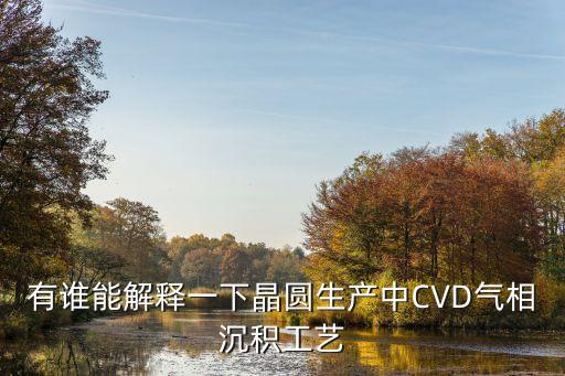有誰能解釋一下晶圓生產中CVD氣相沉積工藝