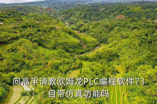 向高手請(qǐng)教歐姆龍PLC編程軟件73自帶仿真功能嗎